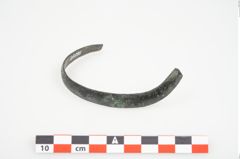 Foto von Bronzeschaukelfußreif (NHMW-PRAE-025995)